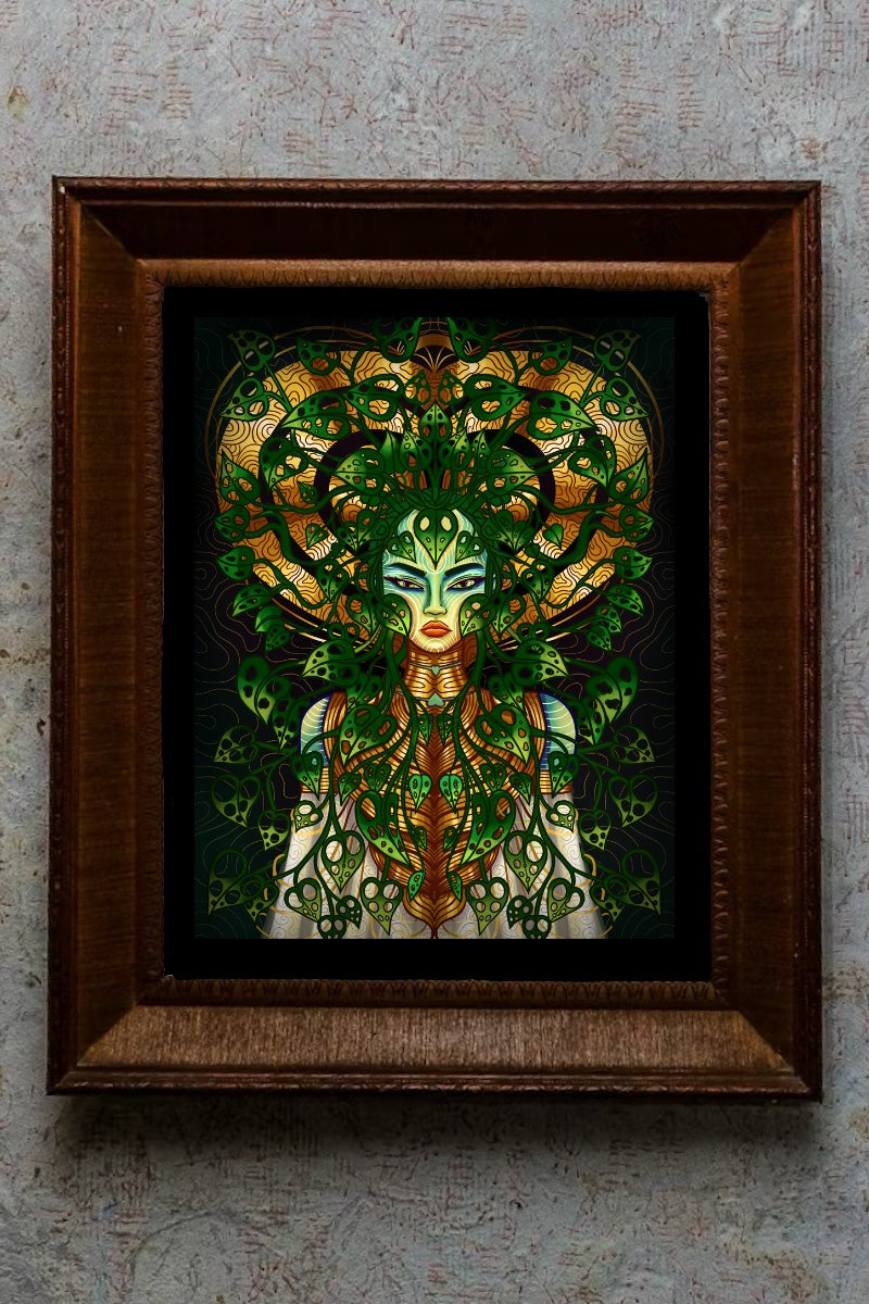 Monnstera Adansonii (unframed)