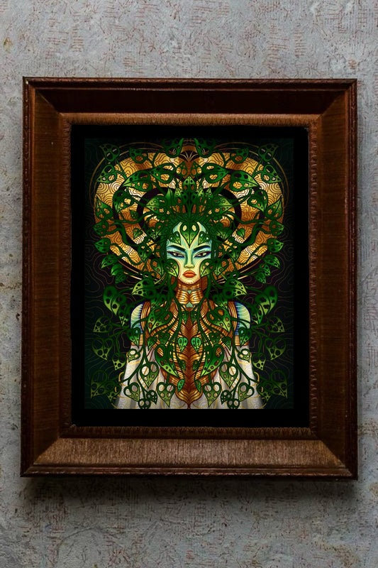 Monnstera Adansonii (unframed)